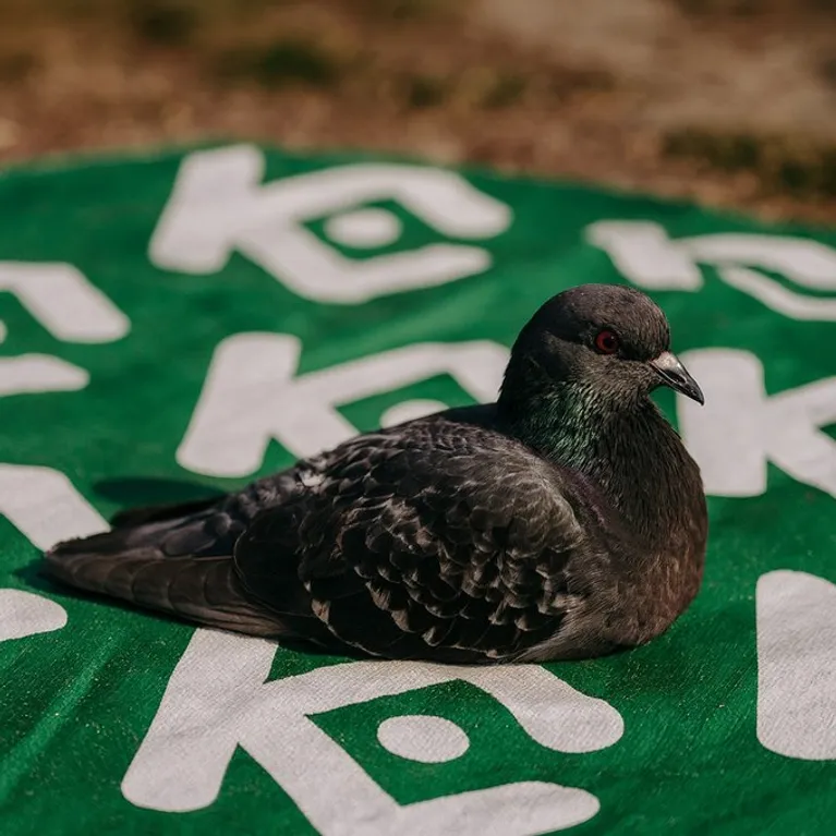 KuCoin Ranks Top 3 in 2025 Market Share Growth as $KCS Posts Rare Gains